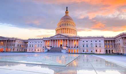 Washington D.C