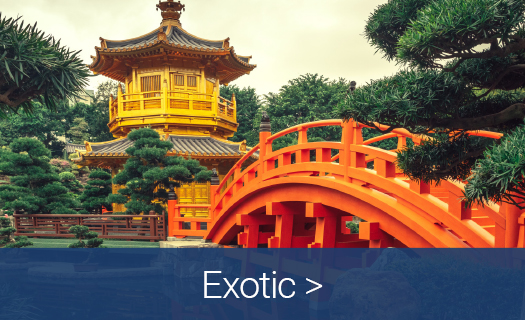 Exotic